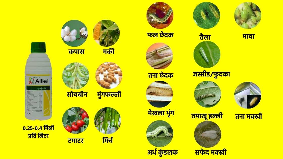 alika pesticide uses