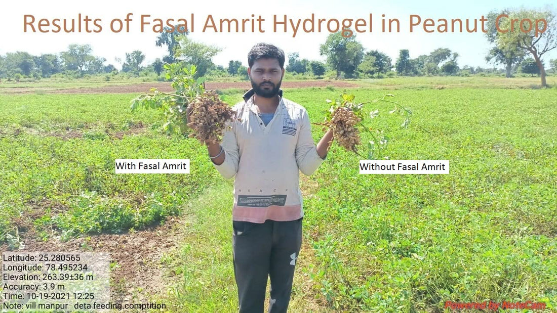 Fasal Amrit Hydrogel