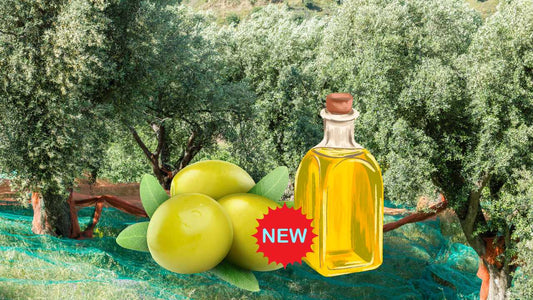 Olive Farming in India