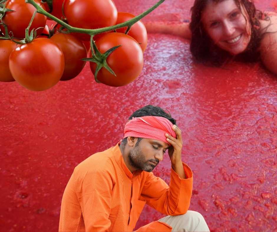 Tomato Ride Tomato Prices: Roller Coaster Ride for Farmers and Consumers β resetagri
