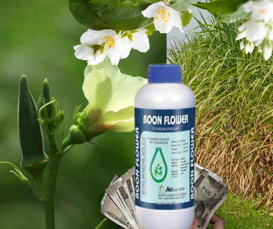 boomflower