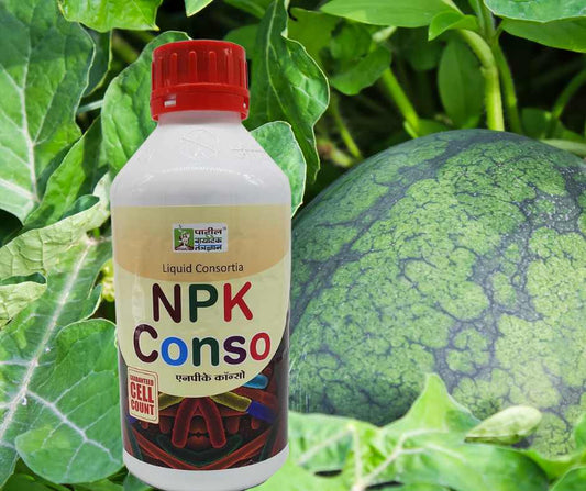 Why NPK consortia are best biofertilizers?