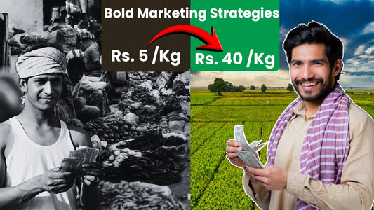 From "Price Taker" to "Price Maker": 5 Bold Marketing Strategies for Modern Indian Farmers
