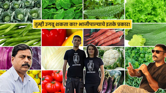 भाजीपाल्याचे इतके प्रकार.. जमले तर कुबेराचे बाप व्हाल!