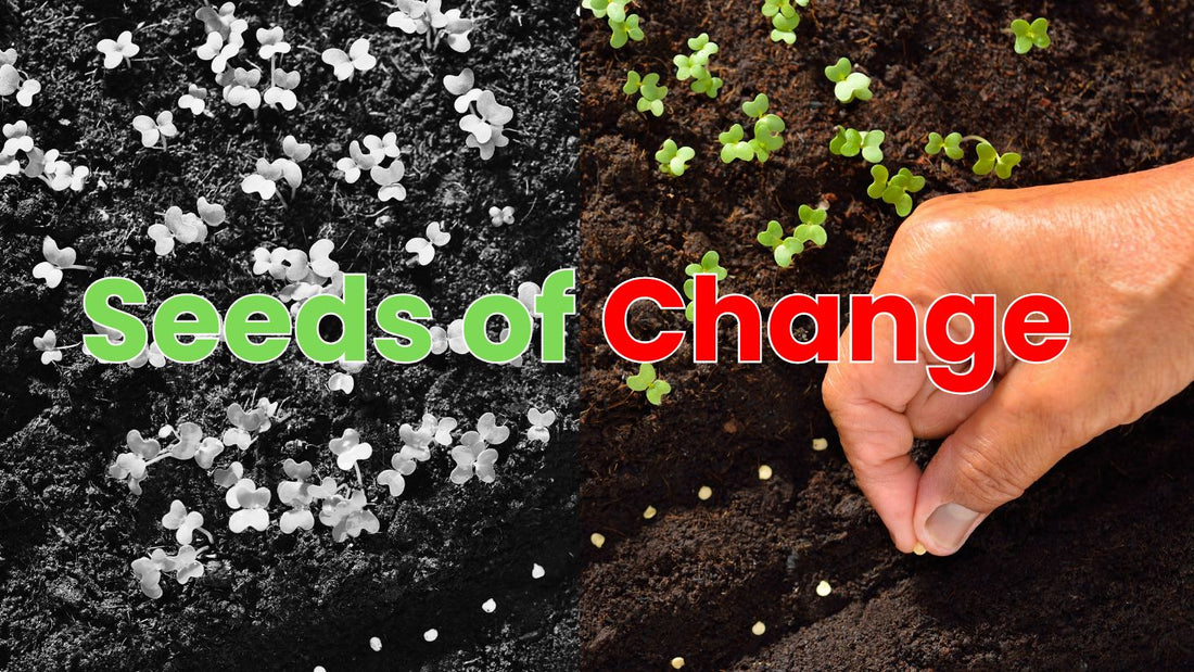 Seeds of Change: How the New Draft Seeds Bill 2025 Decides the Future of Your Farm