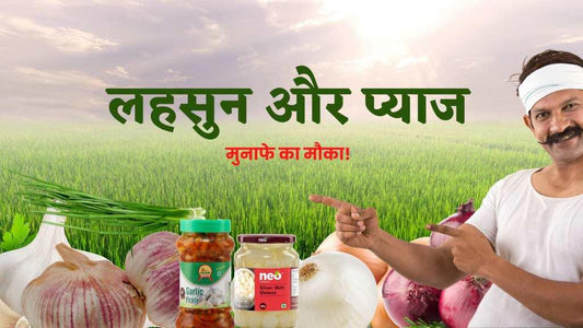 किसान भाइयों, लहसुन-प्याज दोनों ही छोटे अवधि की फसले है. अगर मंडी में इनका ढेर खड़ा हो गया, तो रेट नही मिलते. फसल की लागत को छोडिए, उपज को मंडी तक ढोने का खर्चा निकालना कठिन हो जाता है. यह बात ध्यान में रखते हुए सबसे महत्वपूर्ण सबक है....