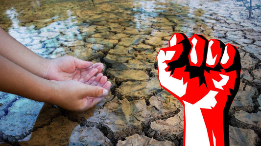 How can Indian farmers fight back draught at level of his farmland?