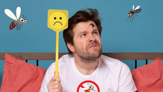 how to control mosquito for six months?