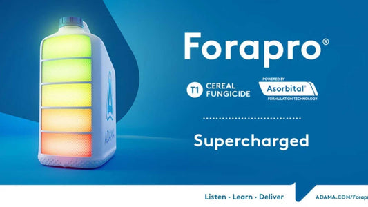 Forapro