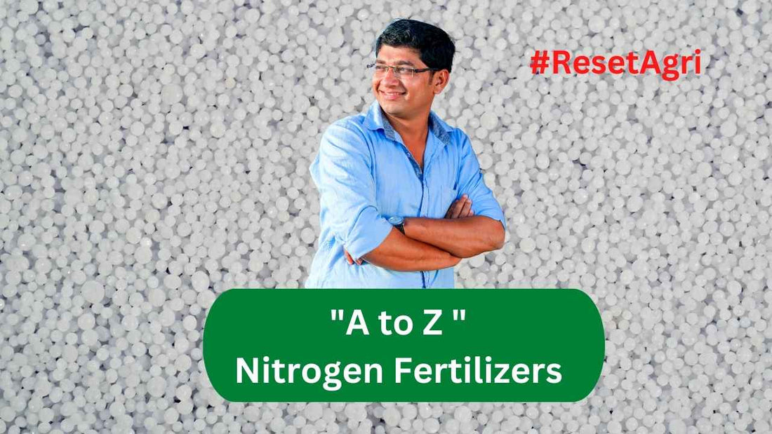 A to Z : Nitrogen Fertilizers