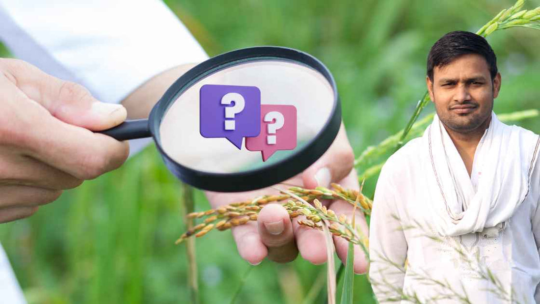Answer to all your questions on plant diseases!