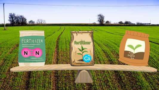 How fertilzier balancing can reduce pest infestation in crop?