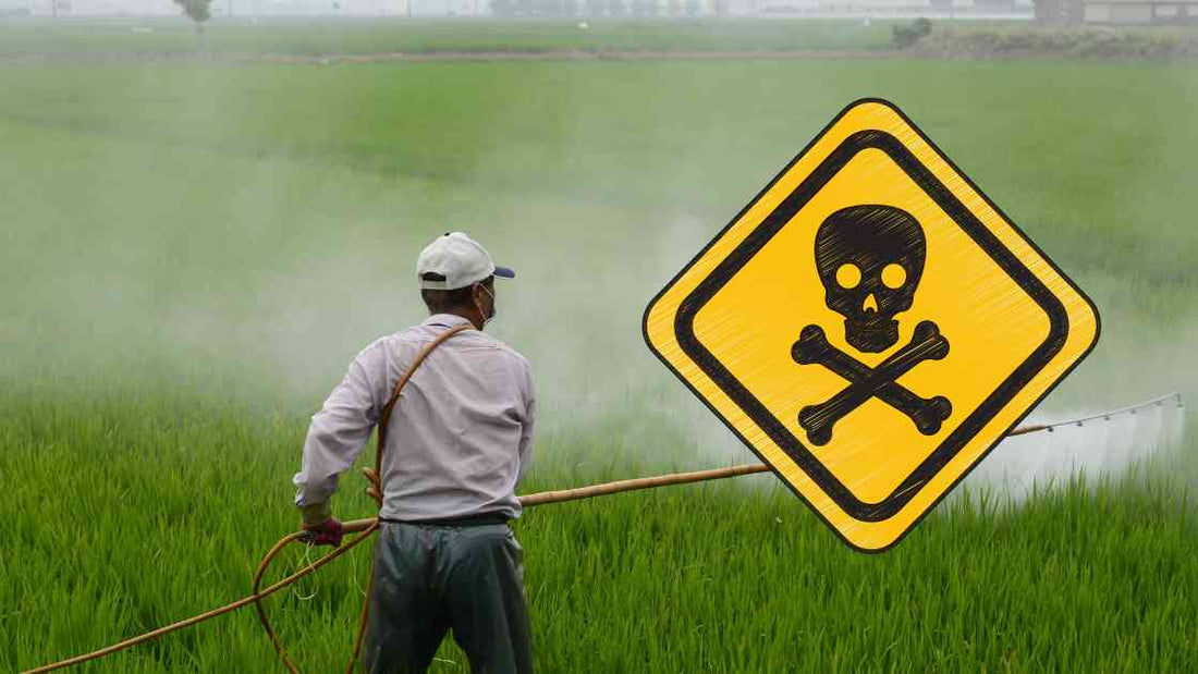Pesticide Residue Problem in India: Causes, Consequences, and Measures to Address it