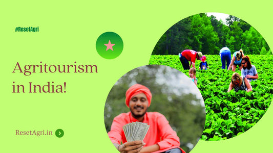 Agrotourism