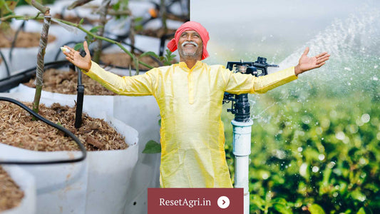 Choosing the Right Irrigation Method: Rain Gun vs. Drip Irrigation for Indian Farmers