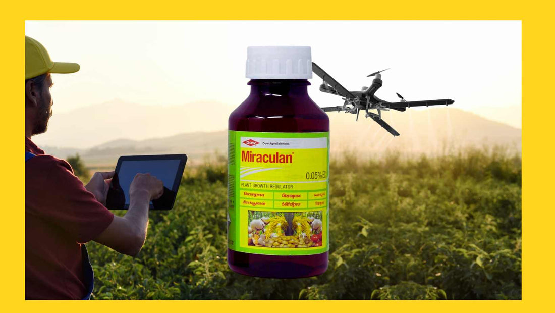 How to Use Miraculan to Increase Crop Yield in India
