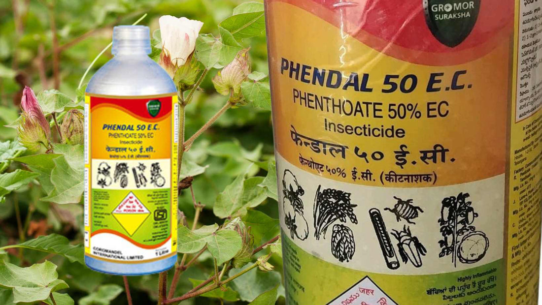 Everything you want to know about phenthoate 50 EC