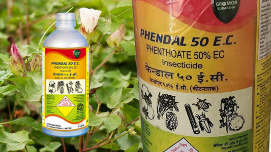 Everything you want to know about phenthoate 50 EC