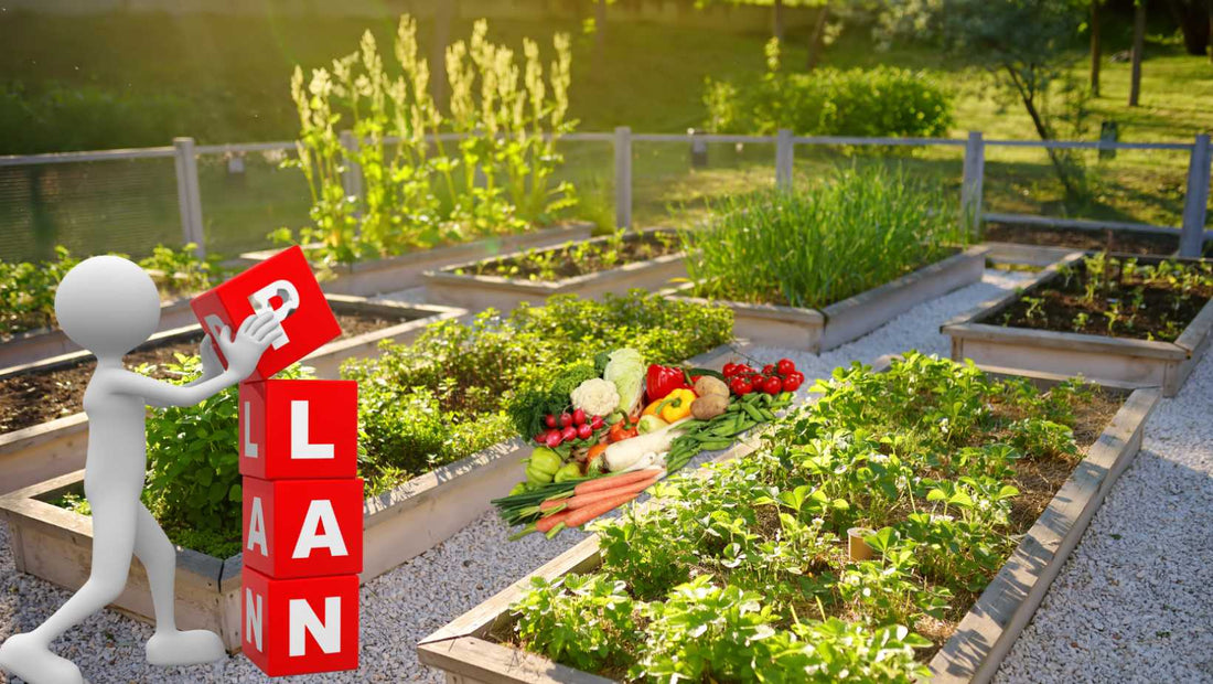 Cultivating Your Abundant Indian Kitchen Garden: A Comprehensive Guide to Success