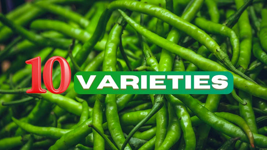 10 Most Cultivated Chillis in India