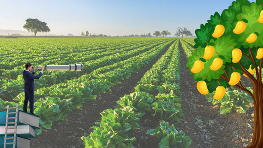 Financial Management for Indian Farmers: Nurturing Sustainable Agricultural Progress