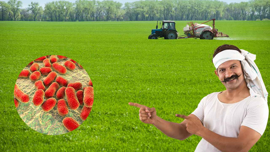 Farmer must know this before using biofertilizers!