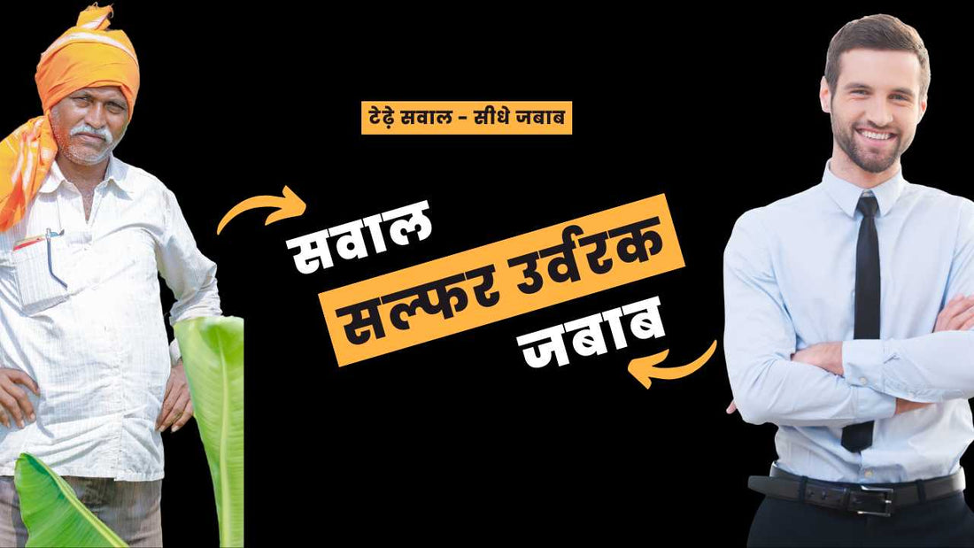 सल्फरयुक्त उर्वरकोंपर आपके सारे सवालों के जबाब