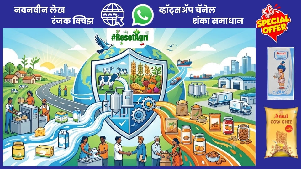 अमूल: जगातील सर्वात शक्तिशाली डेअरी ब्रँड आहे का?