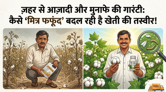 ज़हर से आज़ादी और मुनाफे की गारंटी: कैसे 'मित्र फफूंद' बदल रही है खेती की तस्वीर!