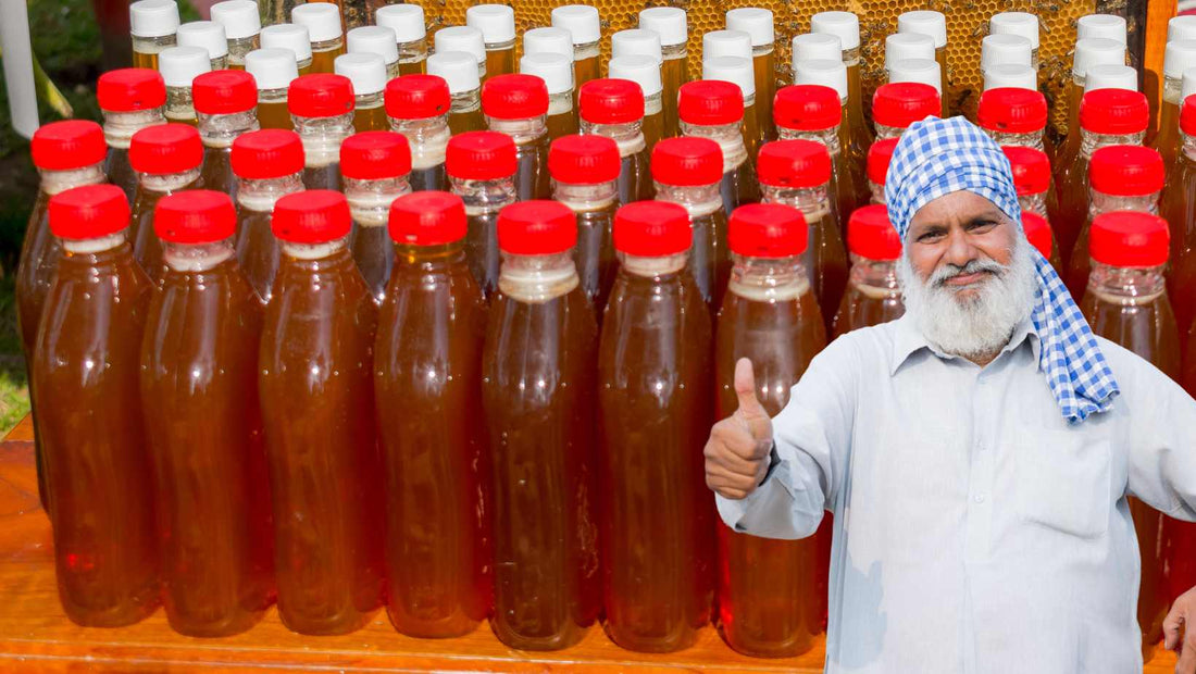 punjab beekeeping