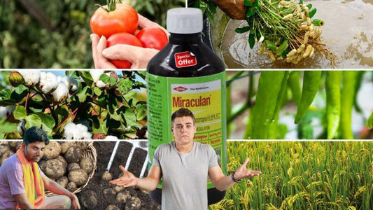 what is triacontanol?