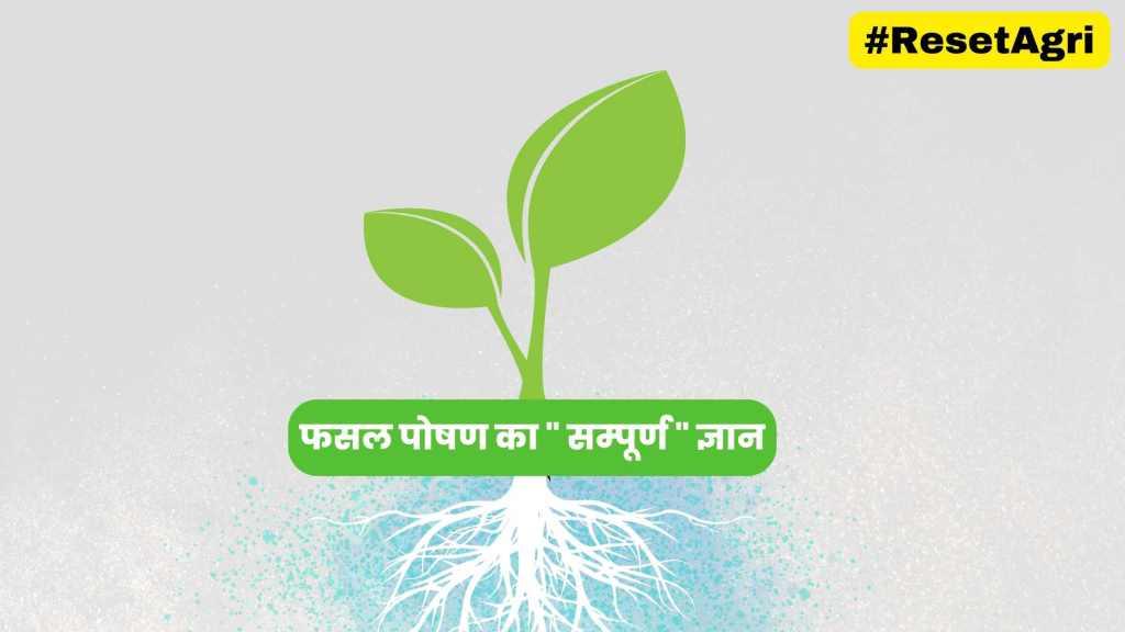 पोषक मिटटी का घोल और फसल की उपज