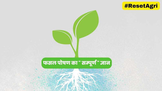 पोषक मिटटी का घोल और फसल की उपज