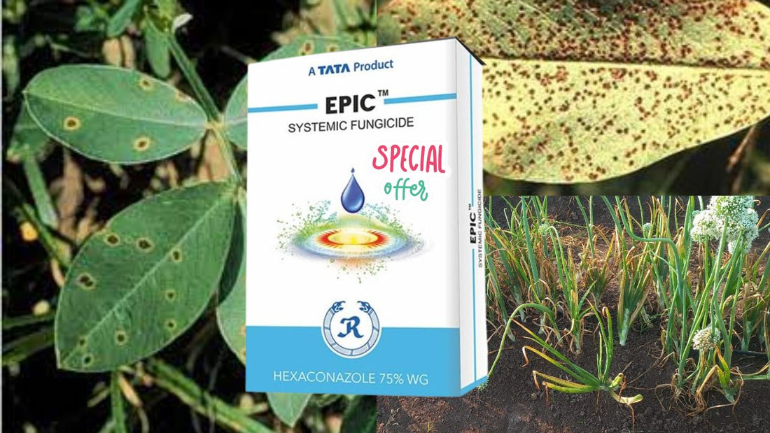 fungicide for common use