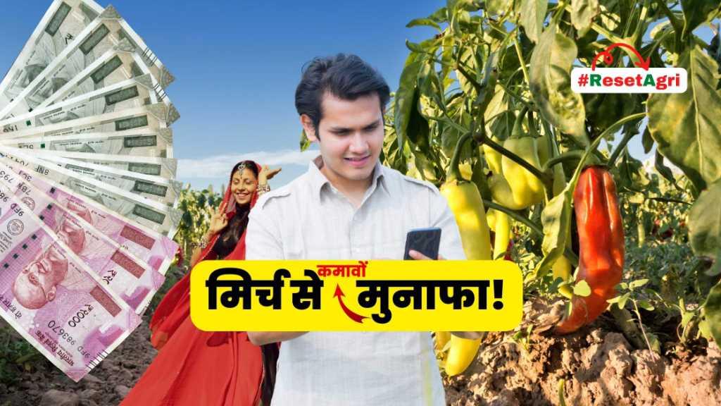 मिर्च के फसल मे कोनसी दवाए इस्तेमाल करे?