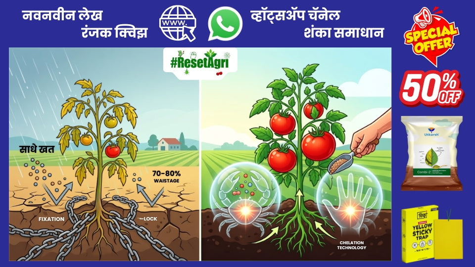 चिलेटेड तंत्रज्ञान: शेतीतील एक आधुनिक क्रांती! (कमी खर्चात दुप्पट उत्पन्न)