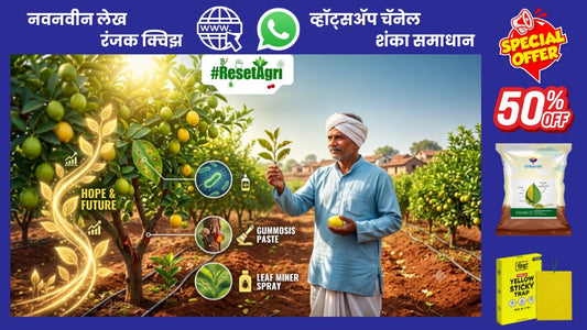 लिंबू वर येणारे रोग व किडी..