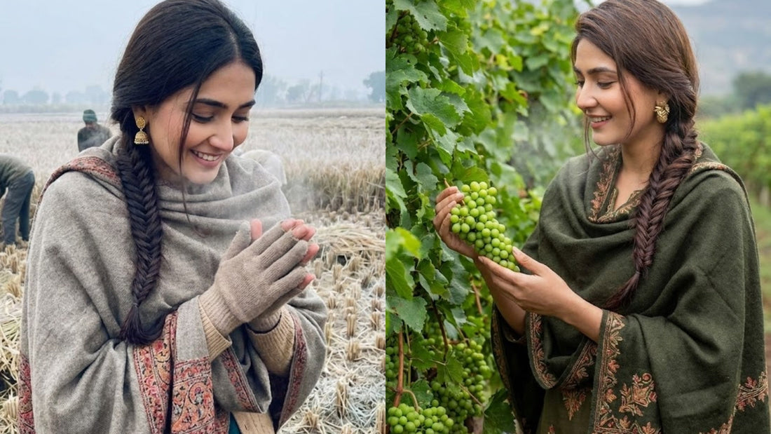 Frost Warning: The Complete Scientific Guide to Protecting Crops During Cold Waves