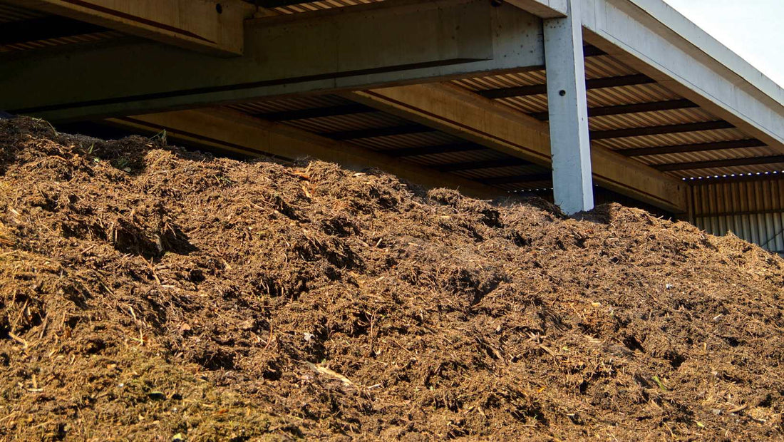 Transforming Cow Dung into "Organic Gold"