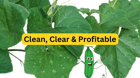 UPL Tridium fungicide