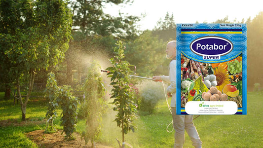 Unlocking the Potential: Potabor Super – The Hidden Gem in Fertilizers for Enhanced Crop Growth