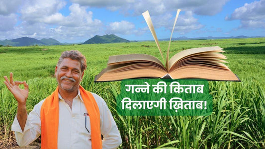 गन्ने की किताब