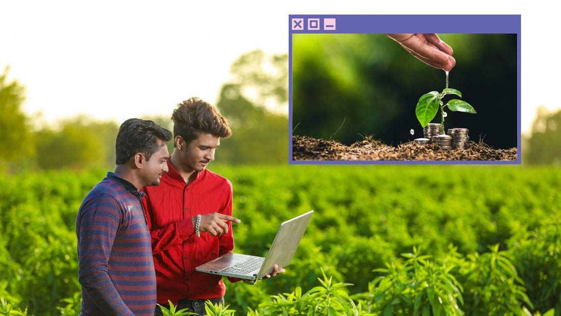 Indian farmer finance and profit