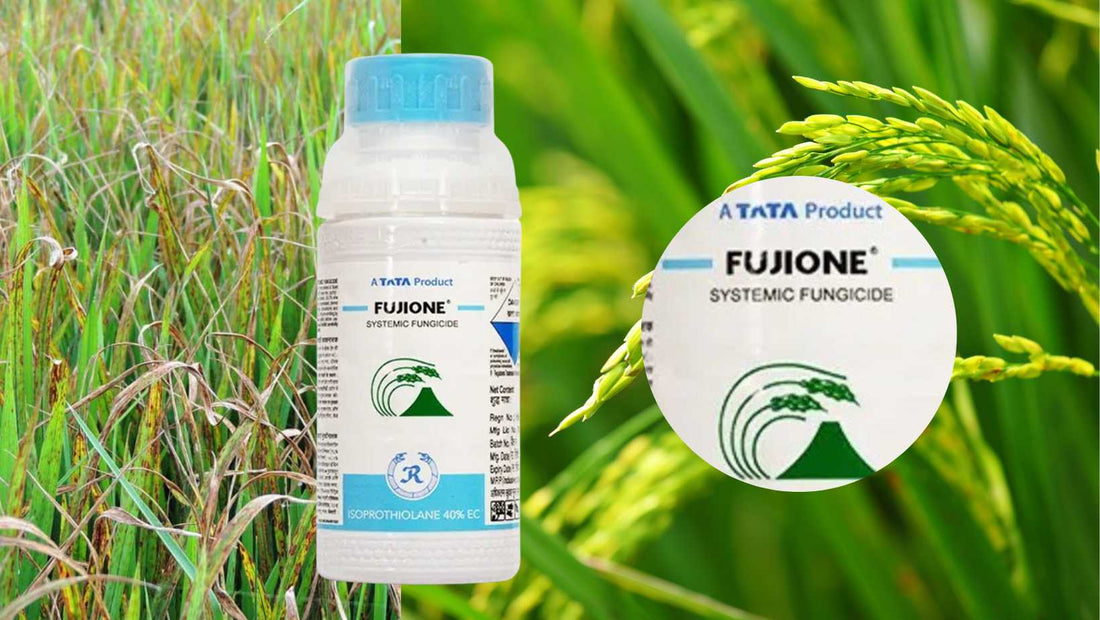 Tata Rallis "Fujione"