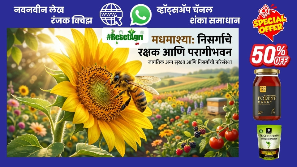 मधमाश्या, आपले अन्न आणि निसर्गाचे अतूट नाते