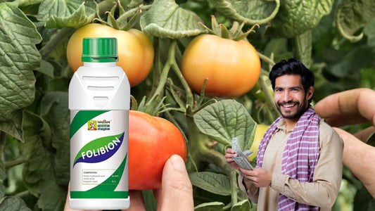 Best Amino acid Formulation