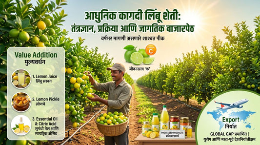 कागदी लिंबू: एक शाश्वत आणि फायदेशीर नगदी पीक