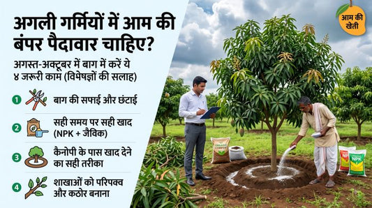 mango yield improvment