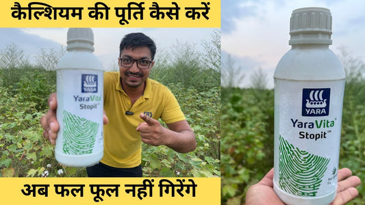 Calcium for Optimal Flowering & Fruiting: Application & Deficiency Solutions