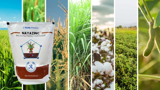 NayaZinc Tata Rallis Zinc fertilzier